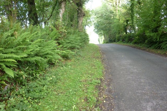 Cycling up a Westmeath hill at the speed of a nimble young snail